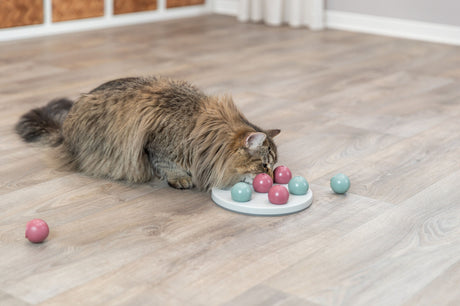 PHO_PRO_CAT_4594-4