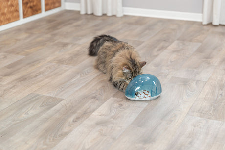 PHO_PRO_CAT_46001-2