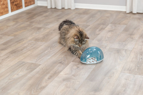 PHO_PRO_CAT_46001-3