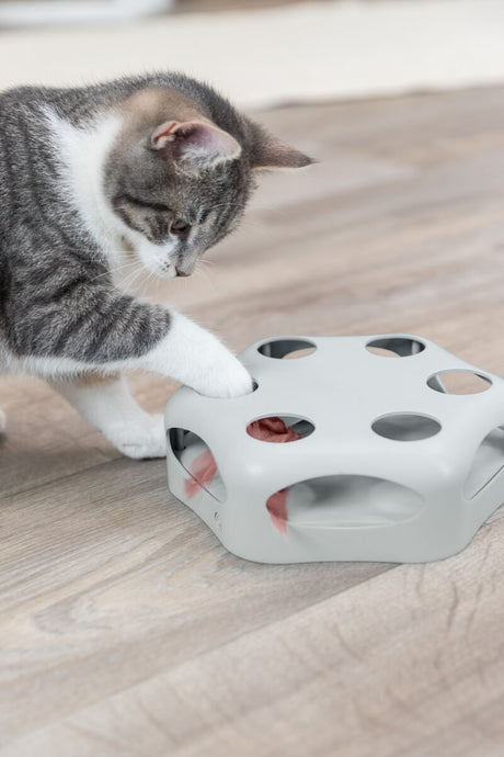 PHO_PRO_CAT_46007-12
