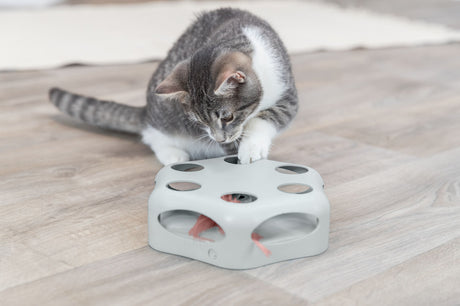 PHO_PRO_CAT_46007-13