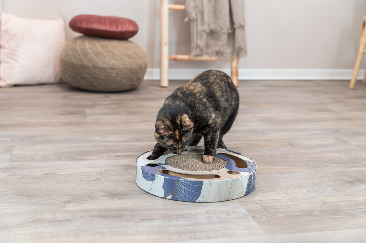 PHO_PRO_CAT_48004-4
