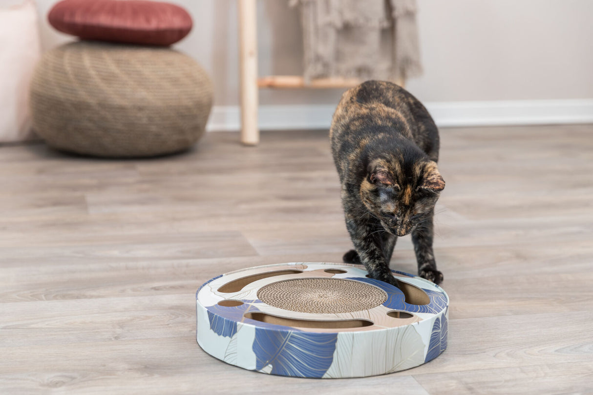 PHO_PRO_CAT_48004-5