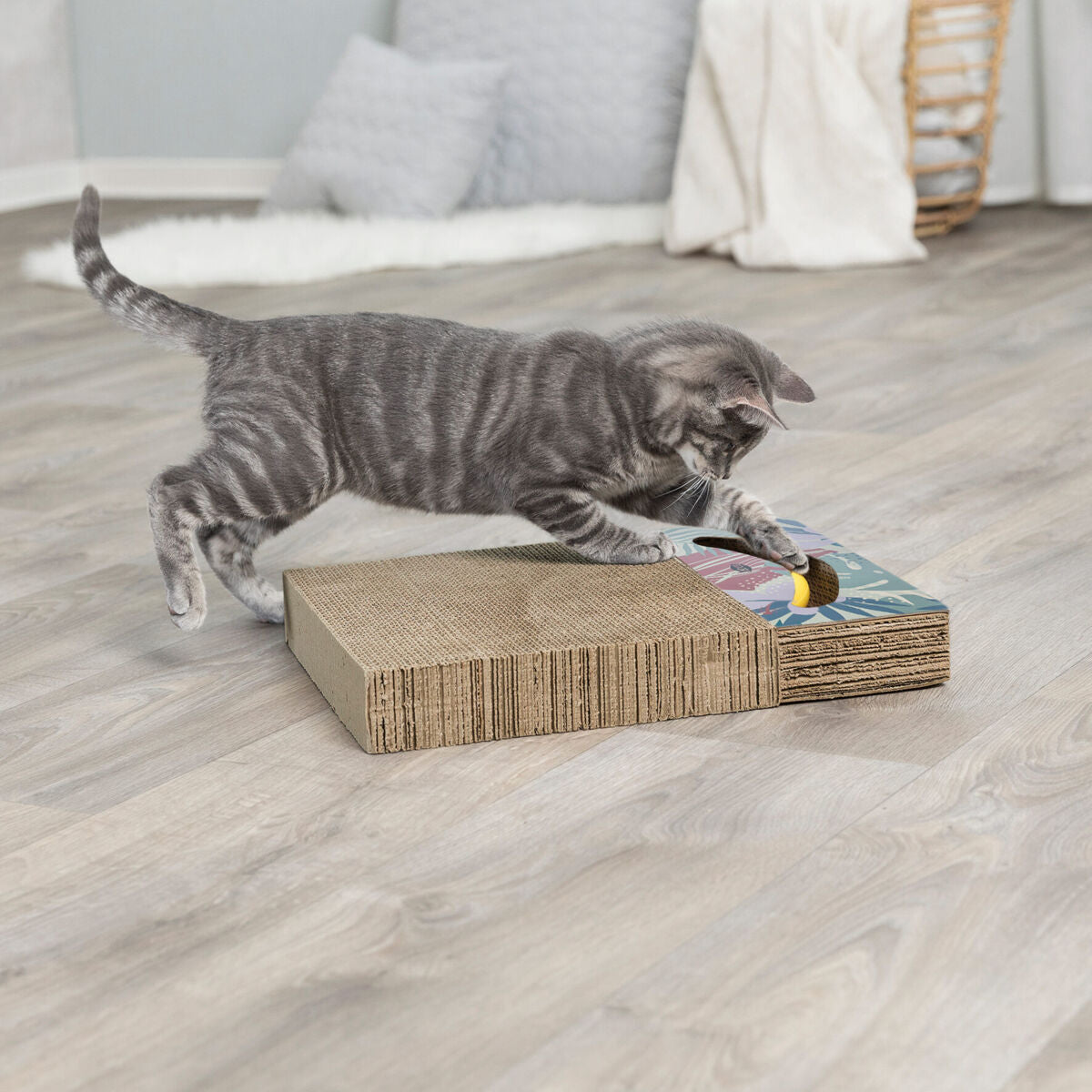 PHO_PRO_CAT_48006-3