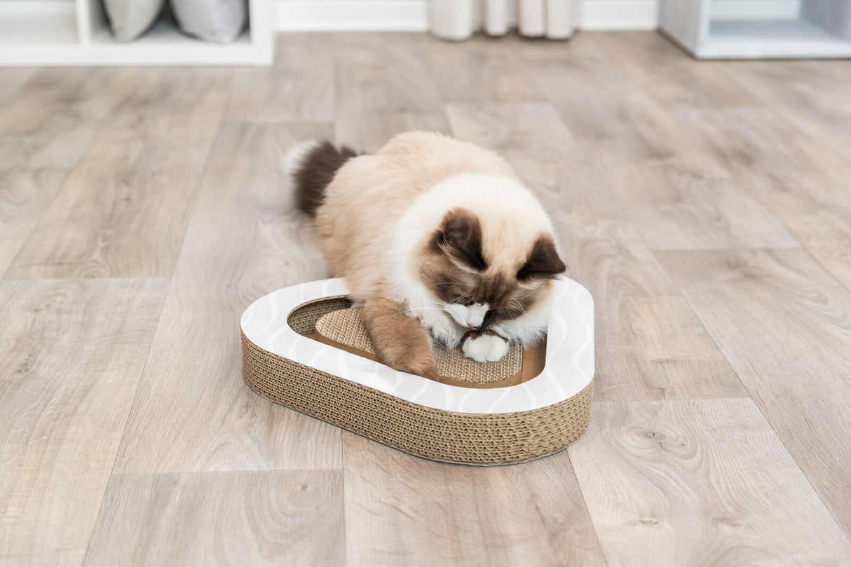 PHO_PRO_CAT_48009-1