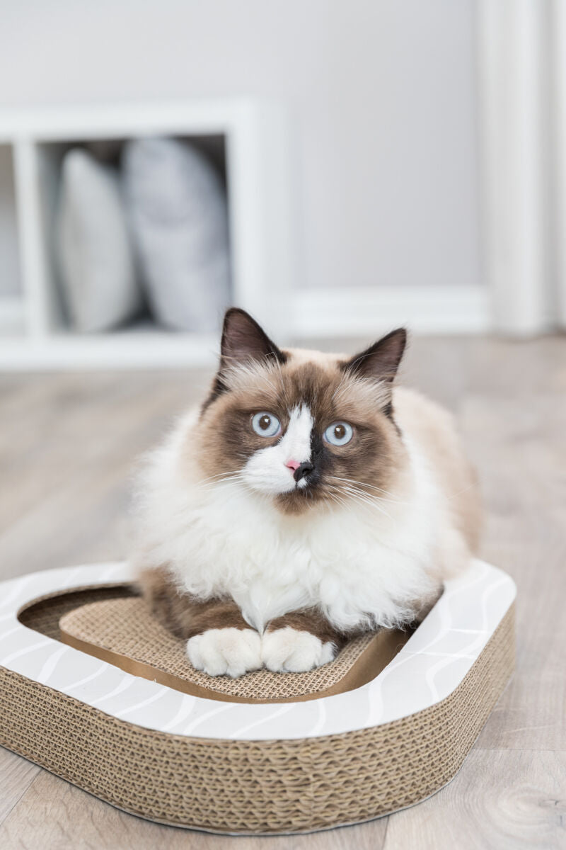PHO_PRO_CAT_48009-2