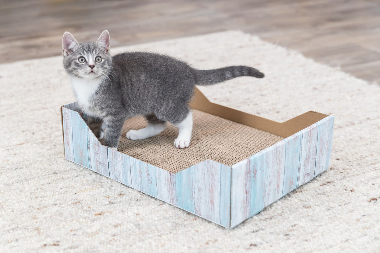 PHO_PRO_CAT_48013-1