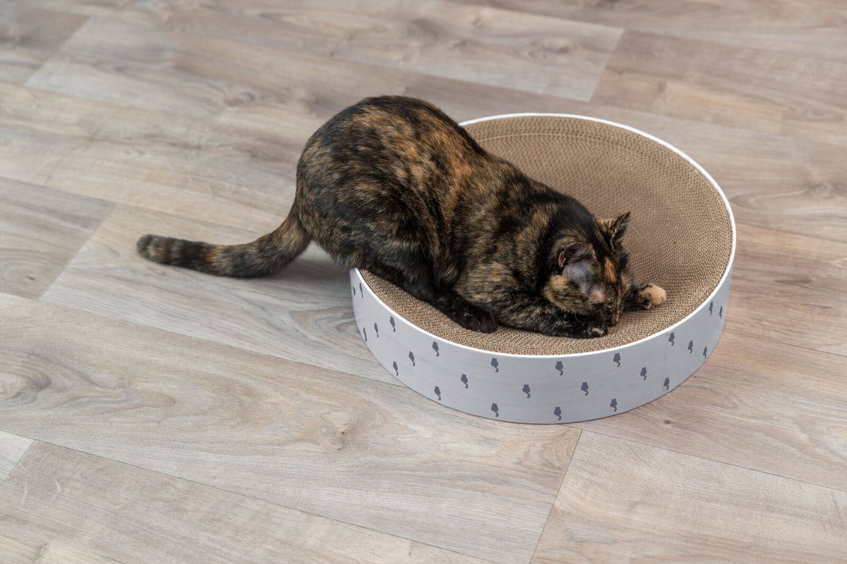 PHO_PRO_CAT_48014-3
