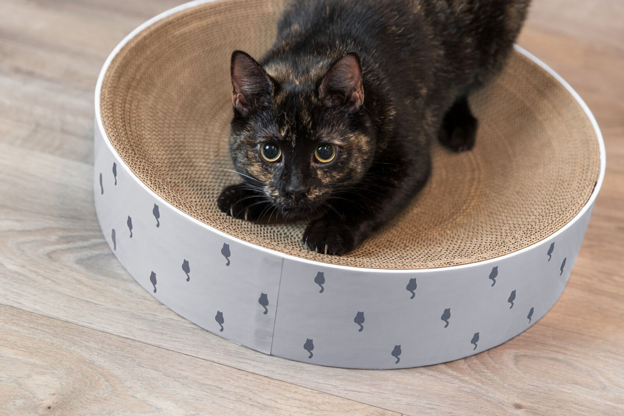 PHO_PRO_CAT_48014-4