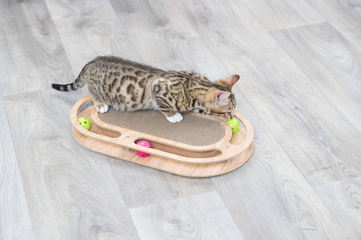 Kleine Katze spielt auf einem hölzernen Spielzeug mit bunten Kugeln auf hellem Holzboden.