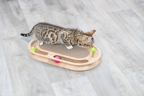 Kleine Katze spielt auf einem hölzernen Spielzeug mit bunten Kugeln auf hellem Holzboden.