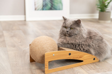 PHO_PRO_CAT_48023-2