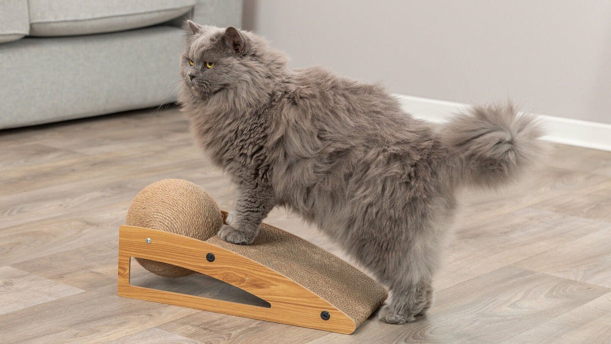PHO_PRO_CAT_48023-4
