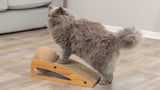 PHO_PRO_CAT_48023-4
