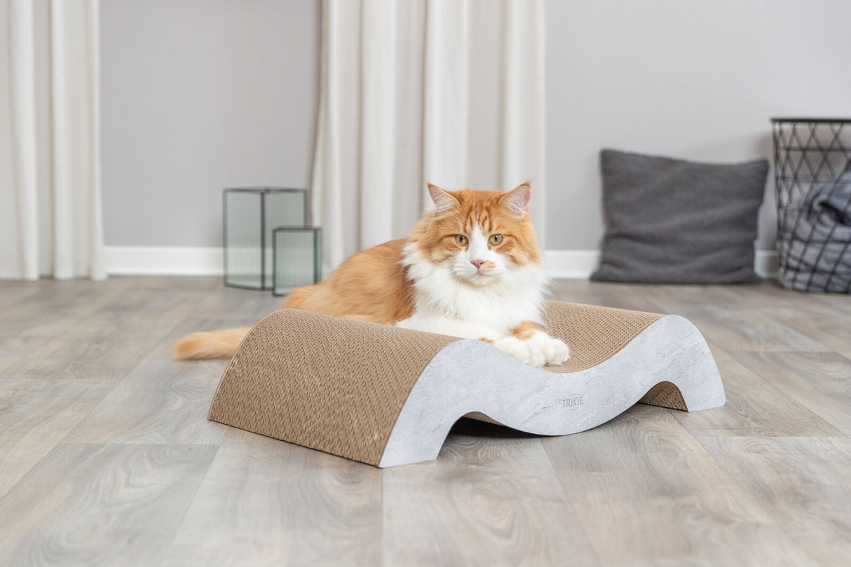 PHO_PRO_CAT_48031-1
