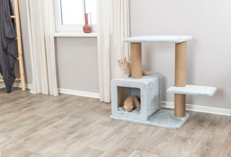 PHO_PRO_CAT_48115-1
