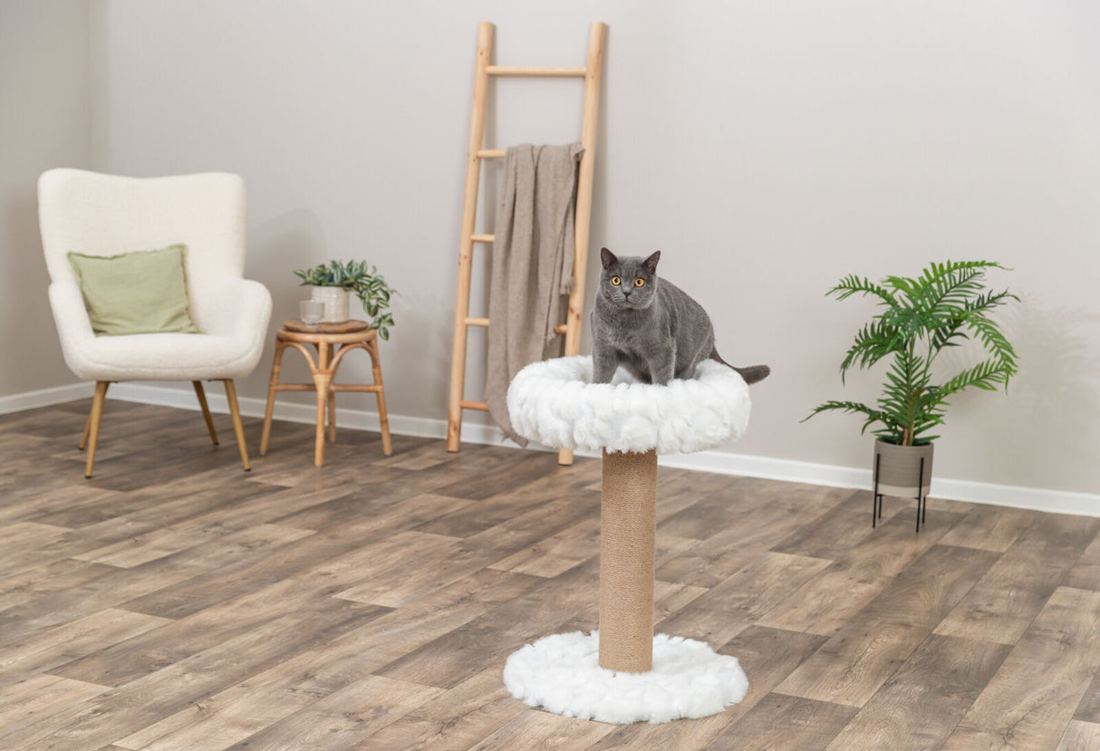Eine graue Katze sitzt auf einem Kratzbaum mit weißem Plüsch in einem Wohnzimmer mit Holzfußboden.