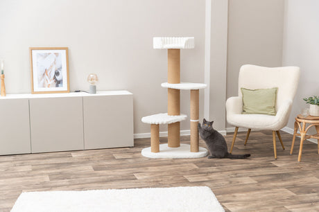PHO_PRO_CAT_48133-1