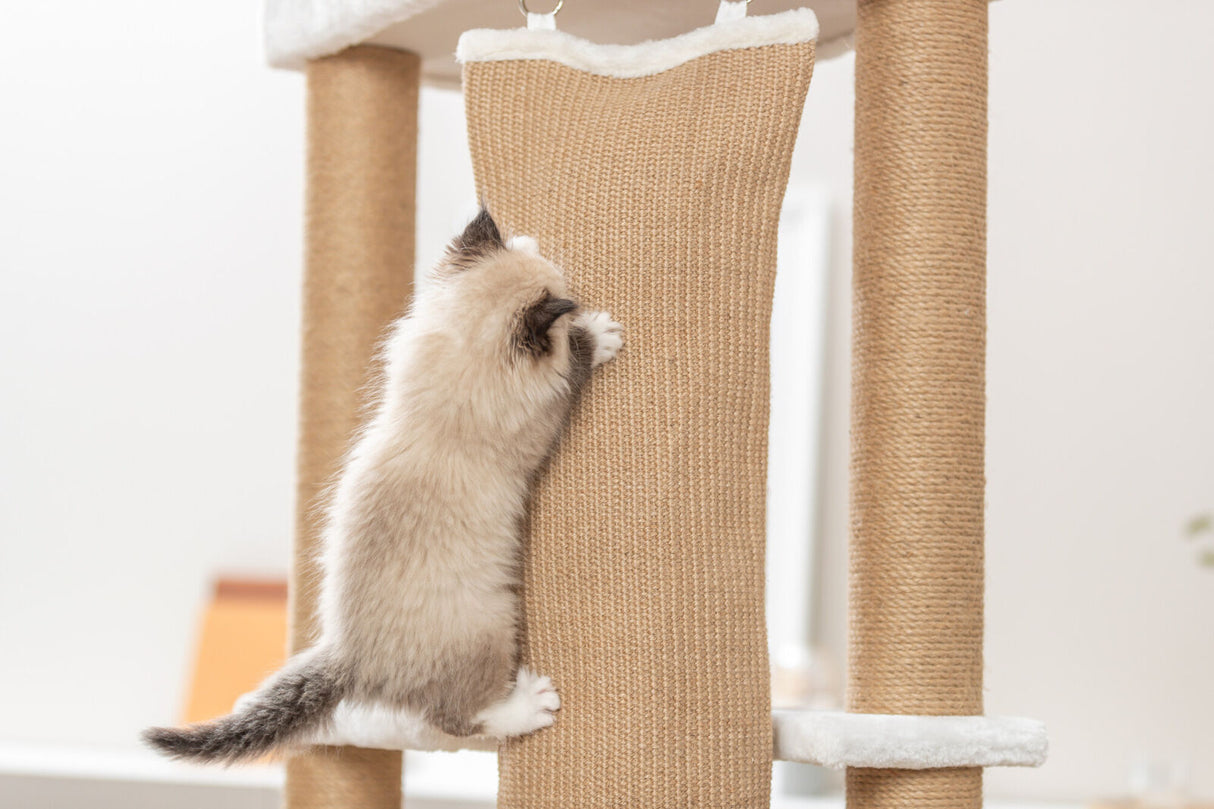 PHO_PRO_CAT_48140-2