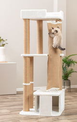 PHO_PRO_CAT_48140-5