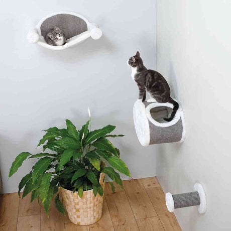 PHO_PRO_CAT_49920-49921-49922-1