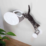 PHO_PRO_CAT_49921-49922-1