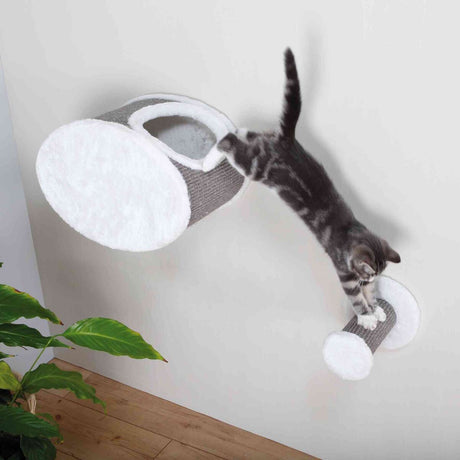 PHO_PRO_CAT_49921-49922-1