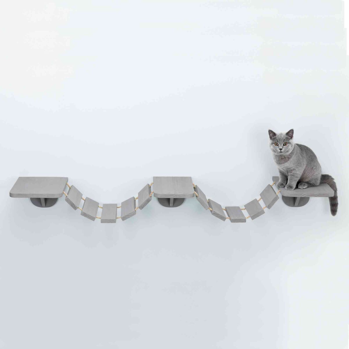 PHO_PRO_CAT_49930-5