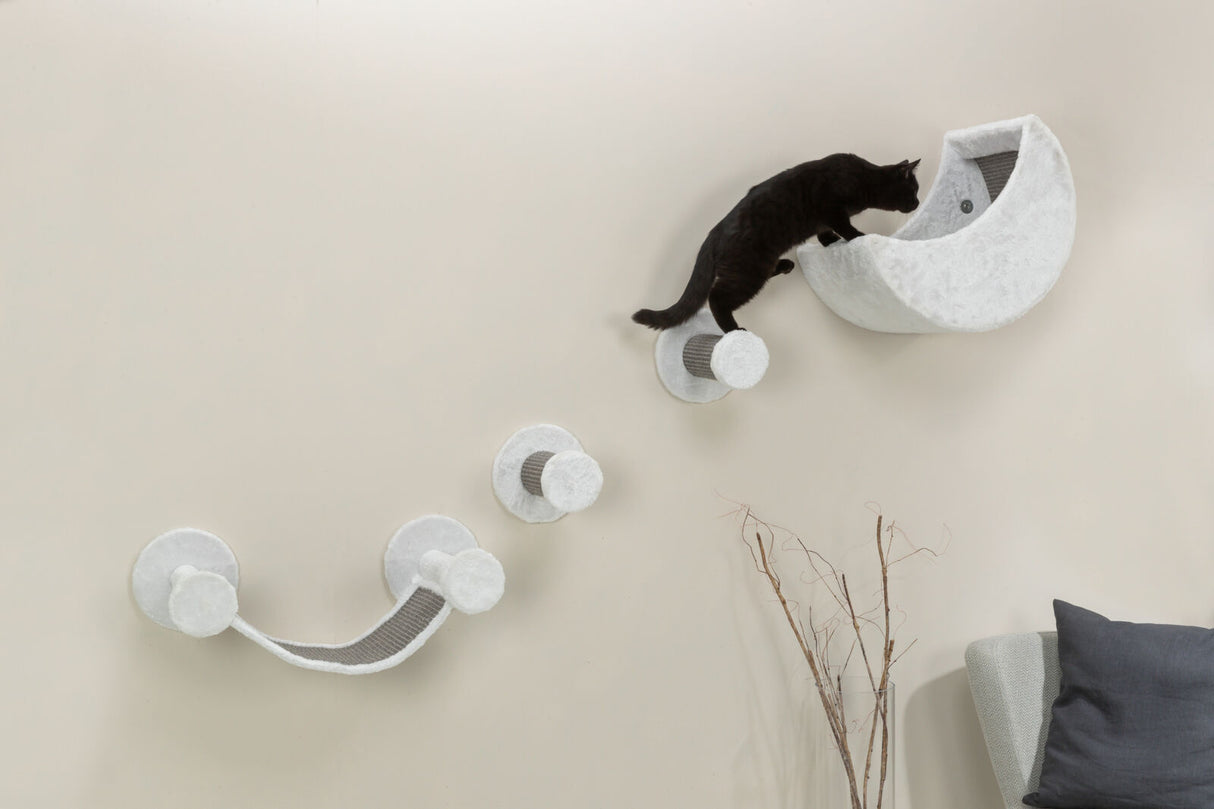 PHO_PRO_CAT_49932-2