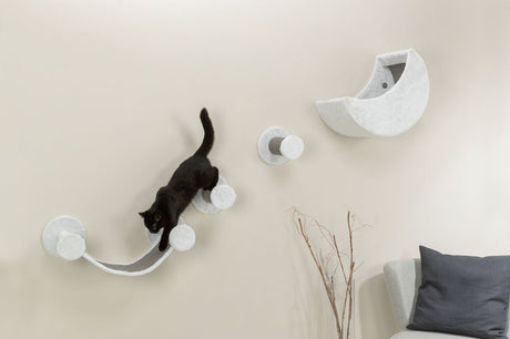 PHO_PRO_CAT_49932-3