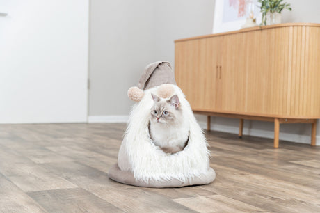 PHO_PRO_CAT_927104-1
