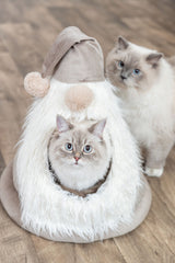 PHO_PRO_CAT_927104-2