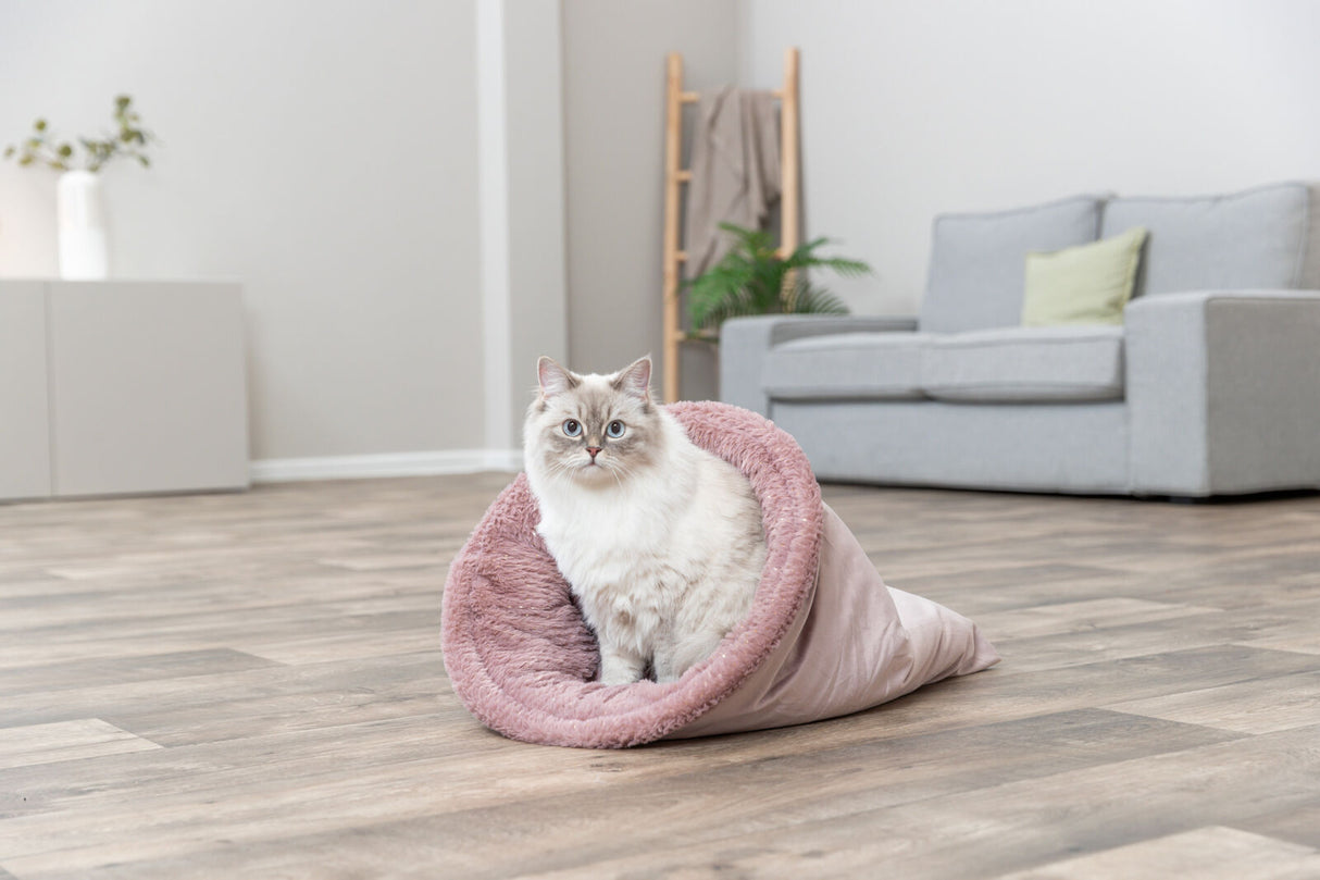 PHO_PRO_CAT_927119-1