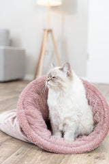 PHO_PRO_CAT_927119-2