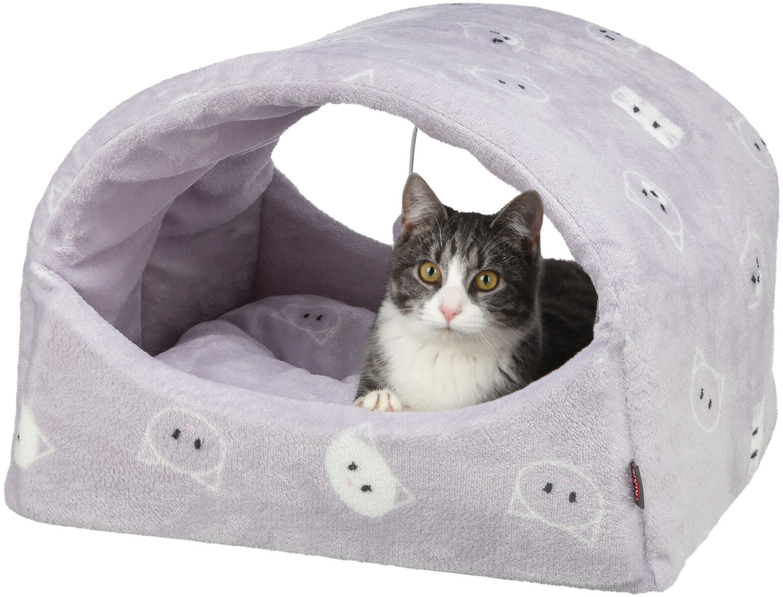 Graue und weiße Katze sitzt in einer lilafarbenen Höhle mit gezeichneten Gesichtern auf der Oberfläche.