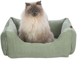 PHO_PRO_CAT_CLIP_37690-1