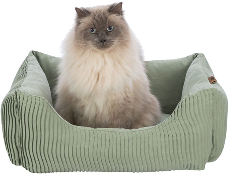 PHO_PRO_CAT_CLIP_37690-1