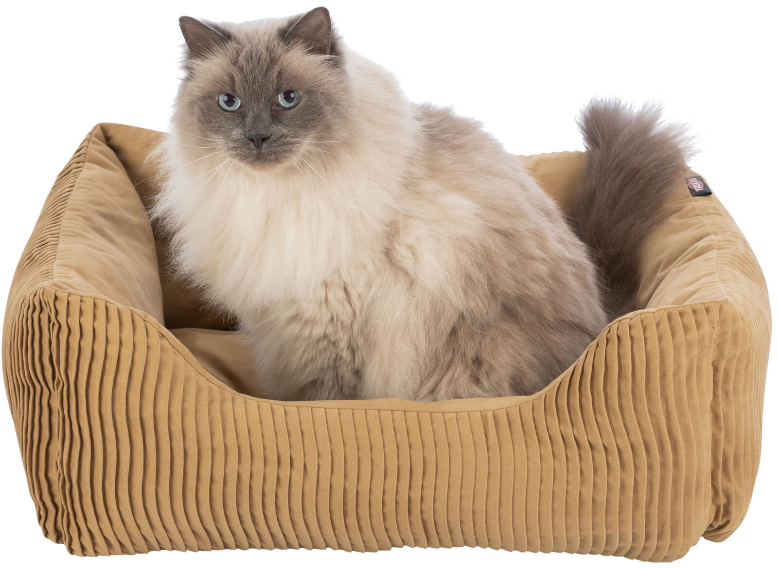 PHO_PRO_CAT_CLIP_37693-1