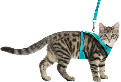 PHO_PRO_CAT_CLIP_41890-2