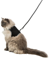 PHO_PRO_CAT_CLIP_41895-3