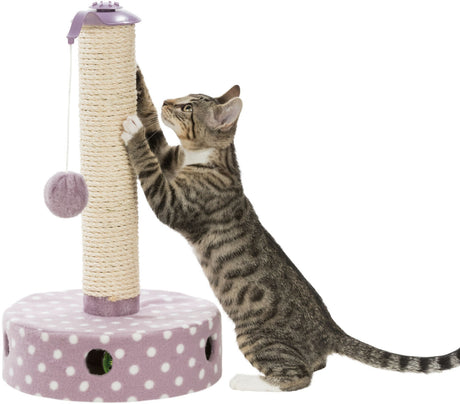PHO_PRO_CAT_CLIP_42930-1