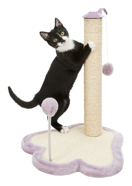 PHO_PRO_CAT_CLIP_42931-1