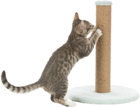 PHO_PRO_CAT_CLIP_42932-1