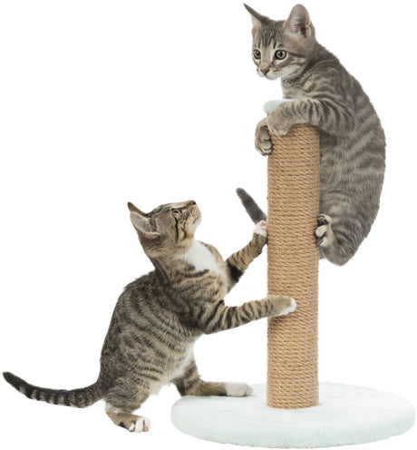 PHO_PRO_CAT_CLIP_42932-2
