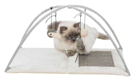 PHO_PRO_CAT_CLIP_43114-1