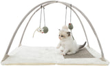 PHO_PRO_CAT_CLIP_43114-2