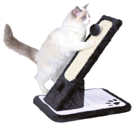 PHO_PRO_CAT_CLIP_43115-1