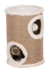 PHO_PRO_CAT_CLIP_4331-1