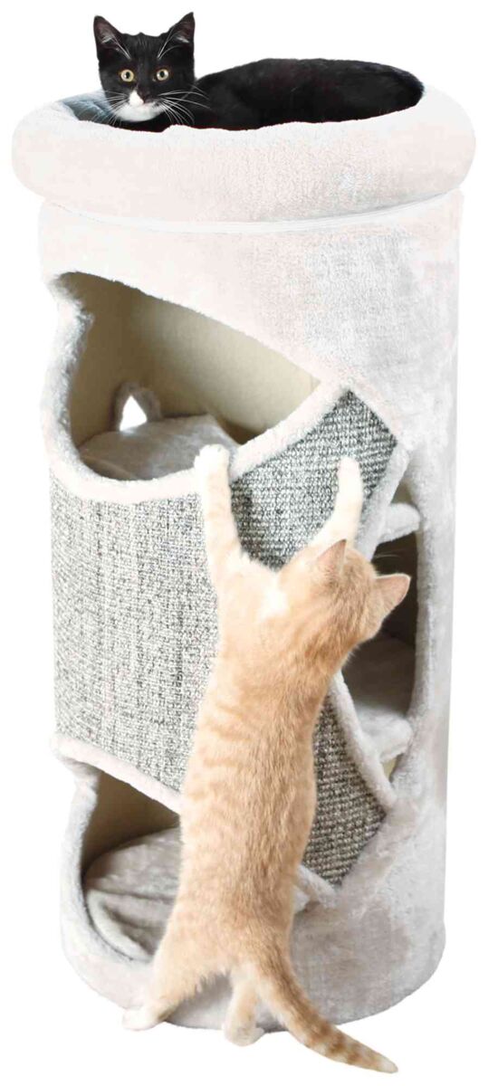 PHO_PRO_CAT_CLIP_43376-1