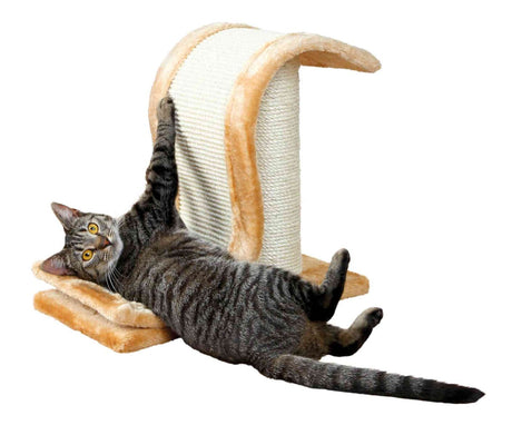 PHO_PRO_CAT_CLIP_4341-1